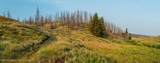 TRACT 17 Fisherman Creek Road - Photo 21