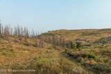 TRACT 17 Fisherman Creek Road - Photo 23