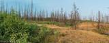 TRACT 17 Fisherman Creek Road - Photo 24