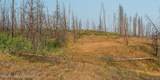 TRACT 17 Fisherman Creek Road - Photo 25