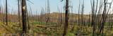 TRACT 17 Fisherman Creek Road - Photo 26