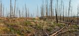 TRACT 17 Fisherman Creek Road - Photo 27