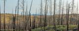 TRACT 17 Fisherman Creek Road - Photo 28