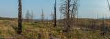 TRACT 17 Fisherman Creek Road - Photo 29