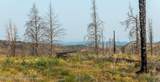 TRACT 17 Fisherman Creek Road - Photo 30