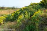 TRACT 17 Fisherman Creek Road - Photo 33