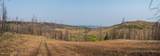 TRACT 17 Fisherman Creek Road - Photo 38