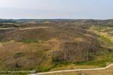 TRACT 17 Fisherman Creek Road - Photo 40