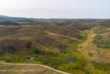 TRACT 17 Fisherman Creek Road - Photo 42
