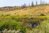 TRACT 17 Fisherman Creek Road - Photo 6