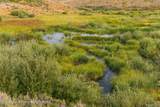 TRACT 17 Fisherman Creek Road - Photo 7