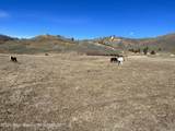 35 Acres - Photo 10