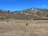 35 Acres - Photo 11