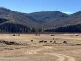 35 Acres - Photo 4