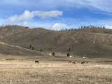 35 Acres - Photo 8