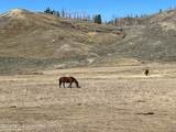35 Acres - Photo 9