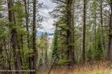 LOT 24 Trail Ridge Road - Photo 3