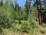 20 Blackfoot Trail - Photo 1