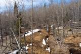  Tract 5 Black Butte Trl - Photo 14