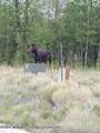 TBD Lot 10 Mccoy Drive - Photo 3