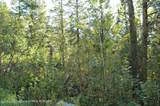 LOT 20 Cedar Creek Drive - Photo 2
