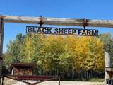 2815 Black Sheep Farm Road - Photo 44