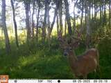 2815 Black Sheep Farm Road - Photo 48