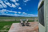 36 Trumpeter Lane - Photo 43