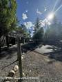 LOT 40 Muleshoe Rd. - Photo 8