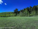 1225 Munger Mountain Road - Photo 14
