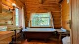 10559 Rammell Mountain Road - Photo 107