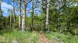 10559 Rammell Mountain Road - Photo 152