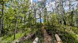 10559 Rammell Mountain Road - Photo 167