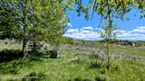 10559 Rammell Mountain Road - Photo 21