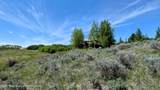 10559 Rammell Mountain Road - Photo 32