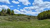 10559 Rammell Mountain Road - Photo 6