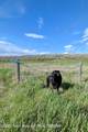 2075 Moose Path Way - Photo 24