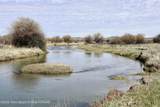 31 Cutoff Road - Photo 42