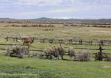 31 Cutoff Road - Photo 51