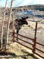 31 Cutoff Road - Photo 54