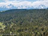 25655 Buffalo Run - Photo 4