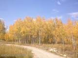 25000 Deer Court - Photo 40