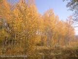 25000 Deer Court - Photo 41