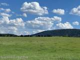 LG TRACT 1 Skyline Drive - Photo 3