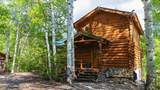 590 Walnut - Photo 7