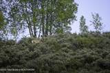 LOT 6 Mininger Road - Photo 24