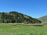 5000 Spring Creek Road - Photo 2