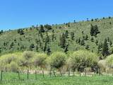 5000 Spring Creek Road - Photo 22