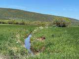 5000 Spring Creek Road - Photo 26