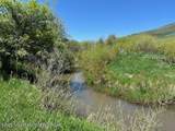 5000 Spring Creek Road - Photo 6